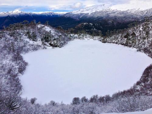 Caba�a Llaima