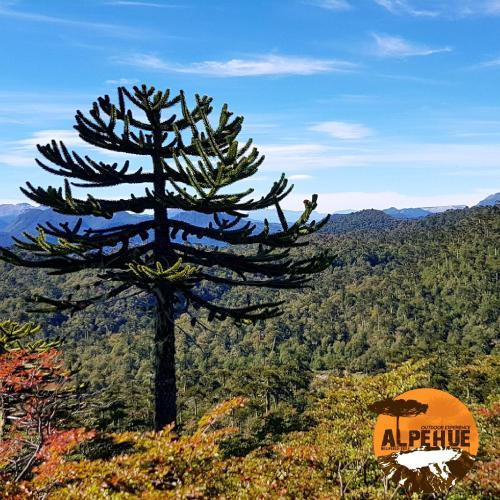 Camping De Monta�a Rumi�a�e