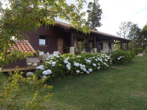Lodge Regenbogen Bungalows