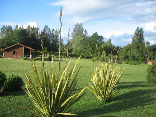 Lodge Regenbogen Bungalows