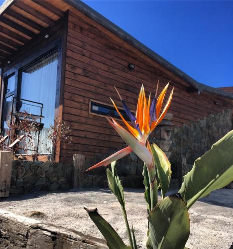 Bed & Breakfast Palo Santo