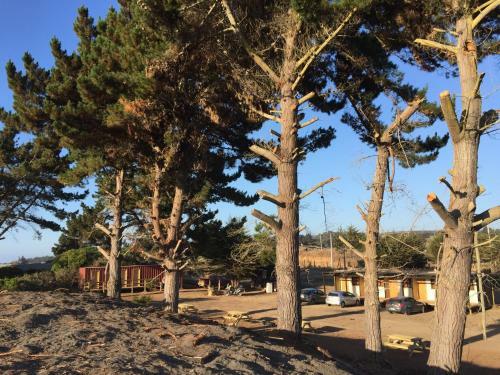 Apartamento Rancho Lobos