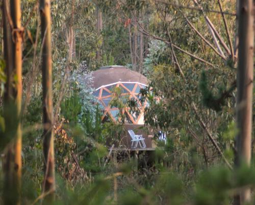 Lodge Domo Ecol�gico Y Yoga