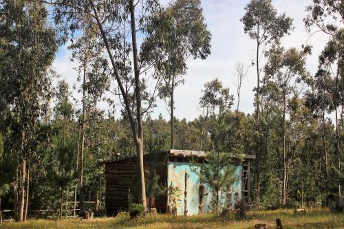 Lodge Domo Ecol�gico Y Yoga