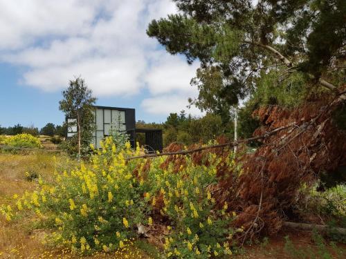 Loftbox Punta De Lobos