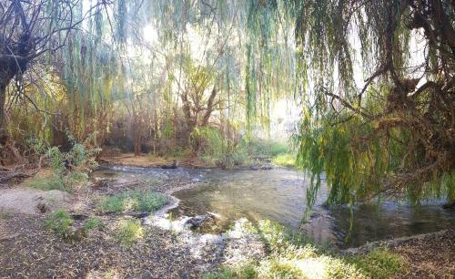 Caba�as Los Sauzales