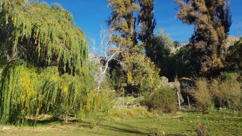 Caba�as Los Sauzales