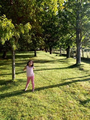 Caba�a Lago Ranco