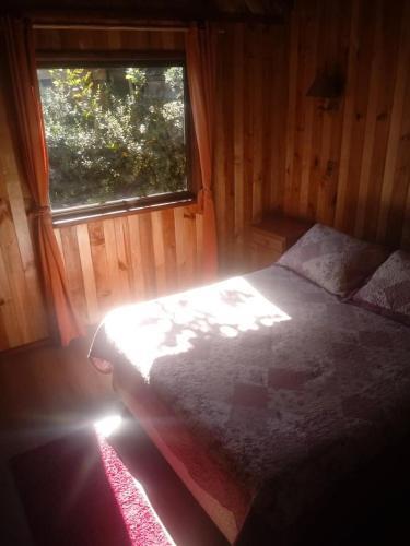 Los Maitenes Puc�n