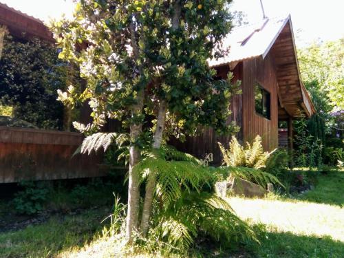 Lodge Cabanas El Cipres