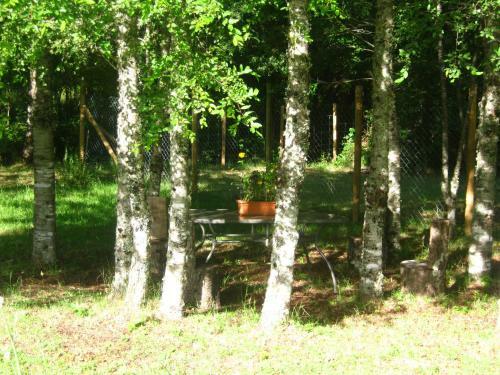 Agroturismo Caba�as Familia Caburgua