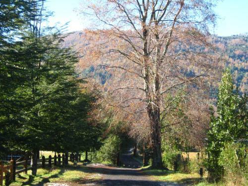 Agroturismo Caba�as Familia Caburgua