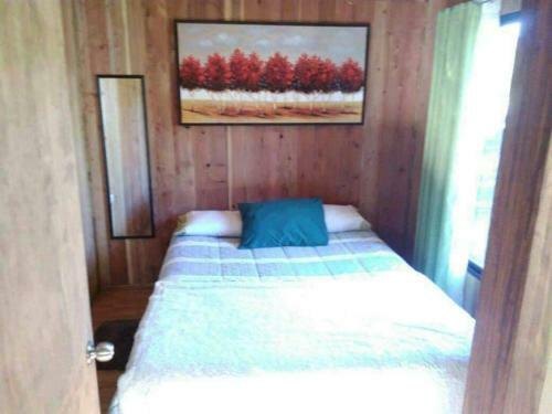Lodge Caba�a R�o Liucura