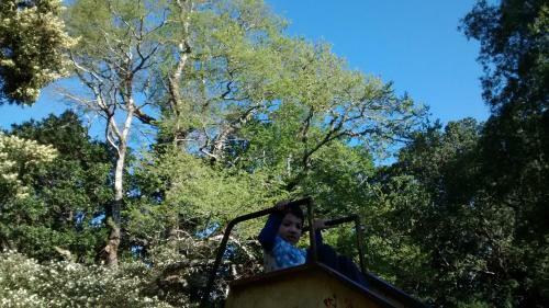 Lodge Caba�as Flor De Arrayan
