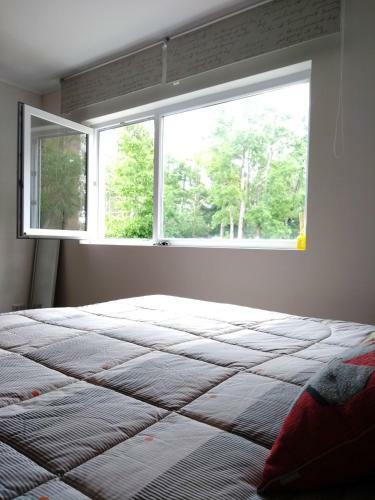 Apartamento Residencial Pucon Andino