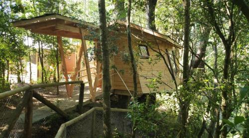 Caba�as Bosques De Loncotraro