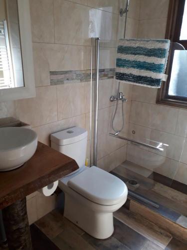Caba�as Bosques De Loncotraro