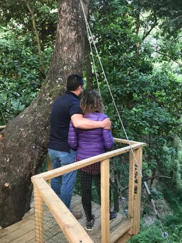 Caba�as Bosques De Loncotraro