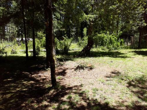 Lodge Caba�as Junta De R�os