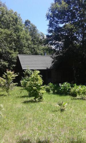 Ruca Magyar