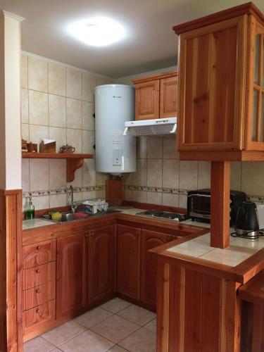 Apartamento Departamento De Ensue�o En Pucon