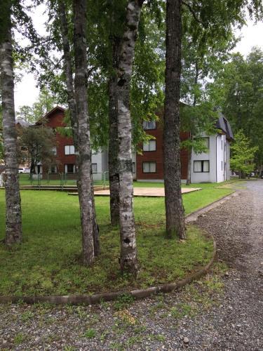 Apartamento Departamento De Ensue�o En Pucon