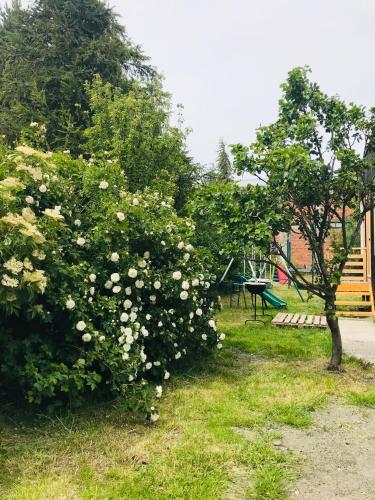 Apartamento Akar Patagonia