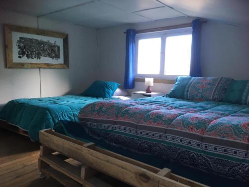Bluepatagonia Hostel