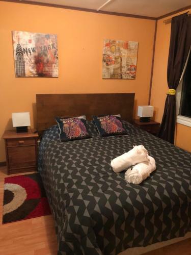 Hostal Caba�a Entre Volcanes