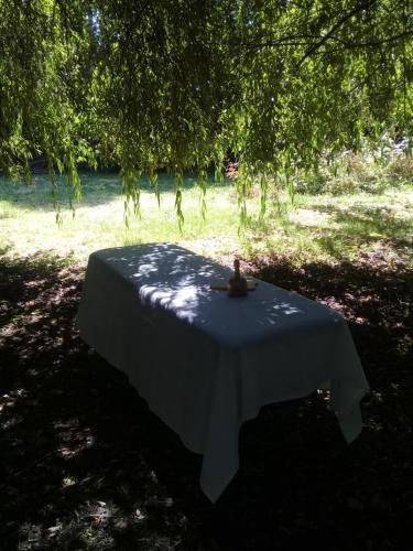 Home Therapies