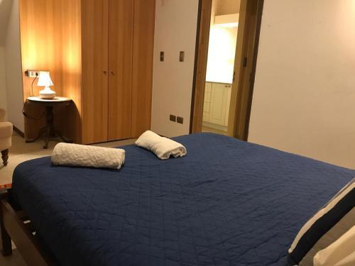 Apartamento Caba�a Lago Llanquihue A Pocas Cuadras Del Centro