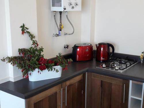 Aparthotel Kintumay
