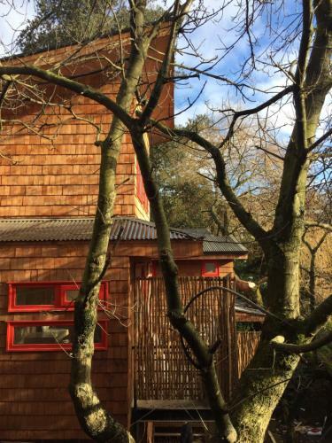 Lodge Almabosque Caba�as