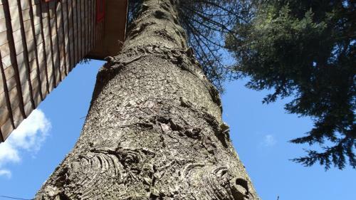 Lodge Almabosque Caba�as