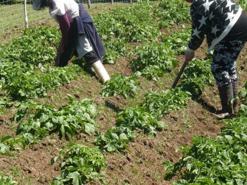 Agroturismo Hospedaje La Loica