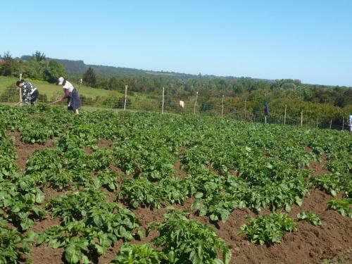 Agroturismo Hospedaje La Loica