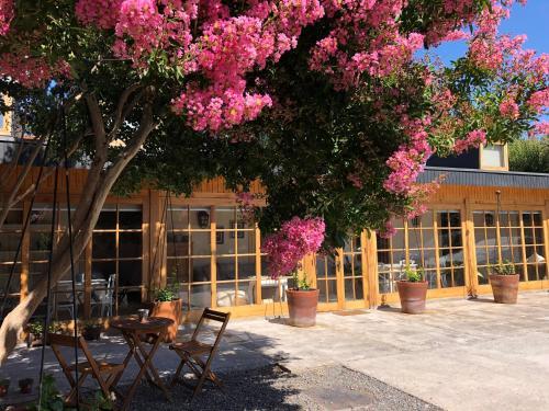 Hotel Argomedo