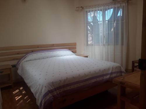 Albergue Casa Macaw