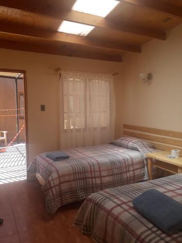 Albergue Casa Macaw