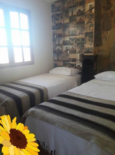 Camping Y Hostal La Flor De Vilca