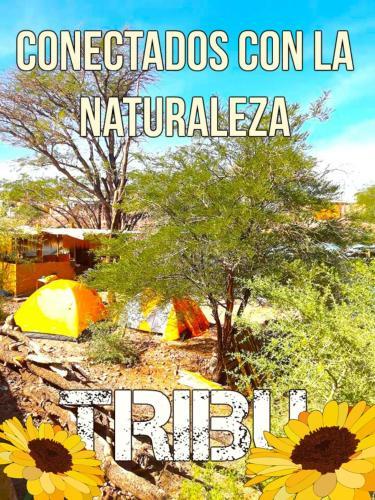Camping Y Hostal La Flor De Vilca