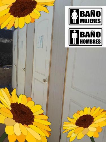 Camping Y Hostal La Flor De Vilca