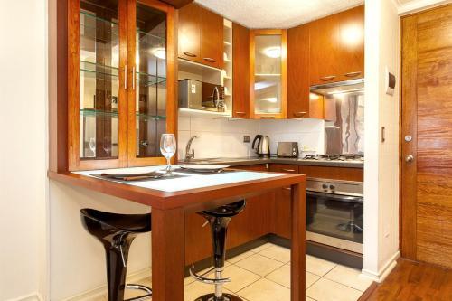 Infinity Apartments (bellas Artes)