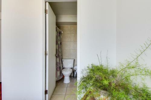 Apartamento Forestal 1