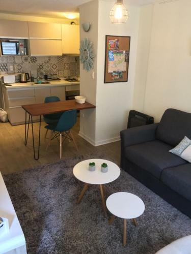Central Apartment Santiago