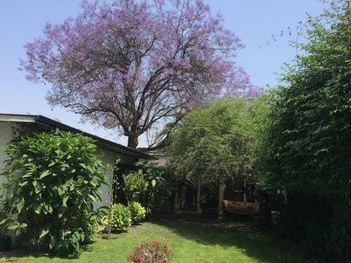 Centro Las Luciernagas