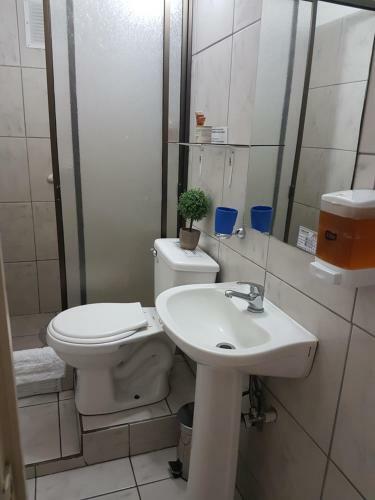 Hotel Hostal Pehuenche