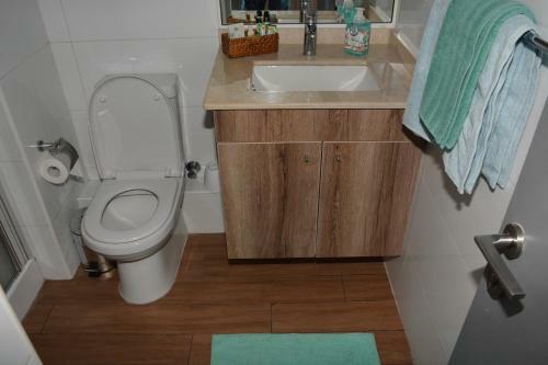 Apartamento Departamento Studio Temuco