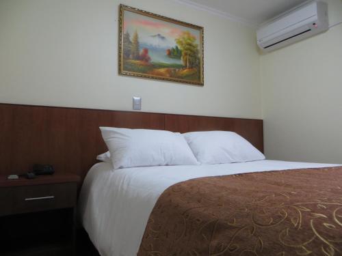 Hotel Newen