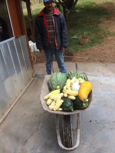 Agroturismo Los Encinos De Chancoyan